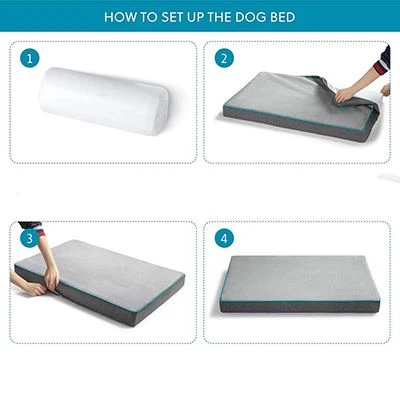 orthopedic dog bed