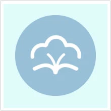 goose feather quilt.jpg goose feather quilt.jpg